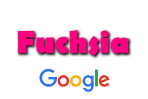 Google - Fuchsia OS