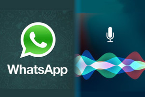 WhatsApp und Siri